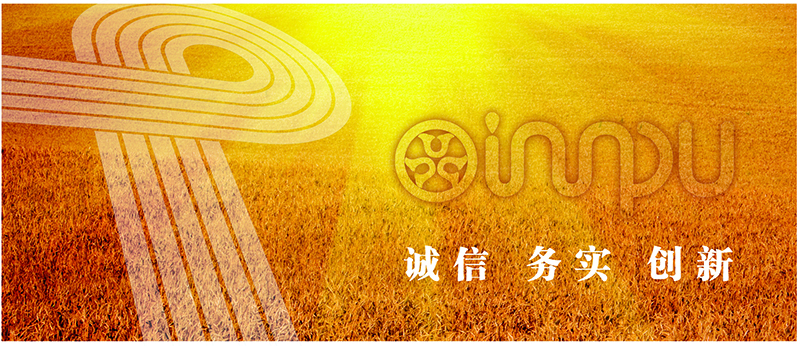 ksport体育app官网入口