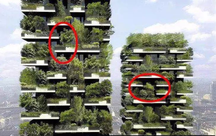 ksport体育app官网入口