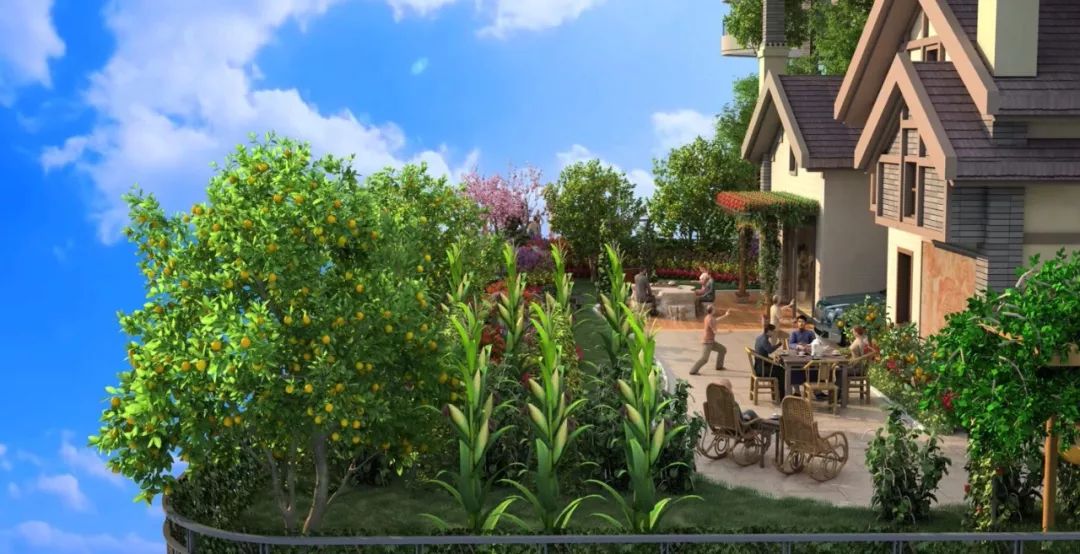 ksport体育app官网入口