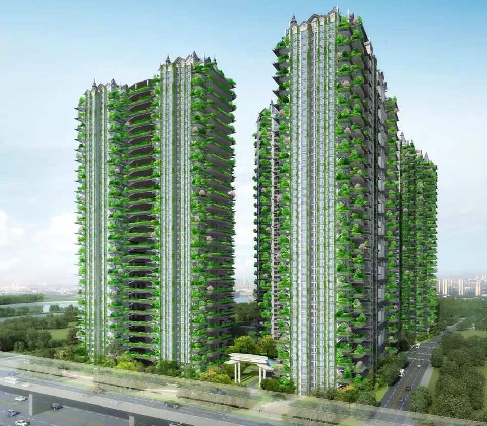 ksport体育app官网入口