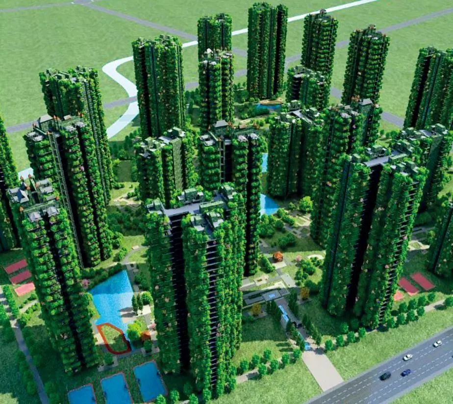 ksport体育app官网入口