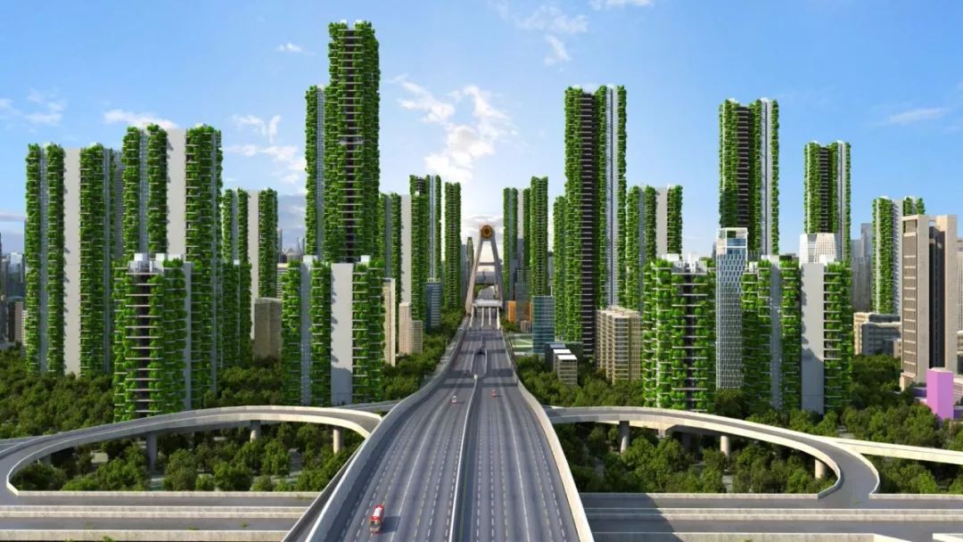 ksport体育app官网入口