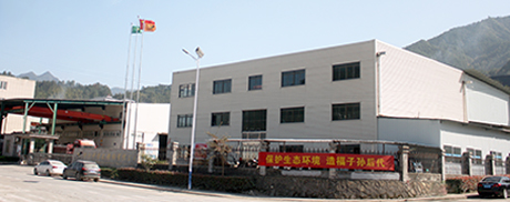 ksport体育app官网入口