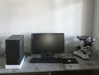 ksport体育app官网入口