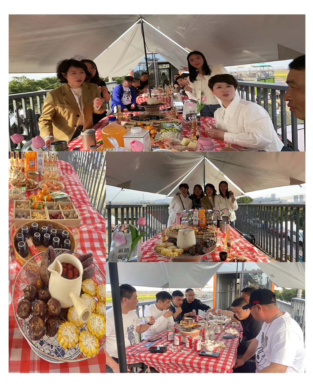 ksport体育app官网入口